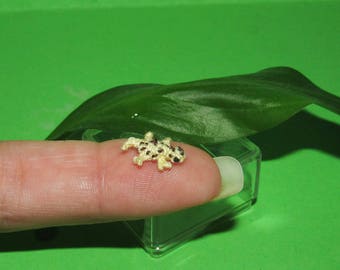 Miniatura Leopard Gecko tiny Micro crochet amarillo Leopard Gecko lagarto miniatura terrarium animales Dollhouse terrarium dollhouse juguetes animales