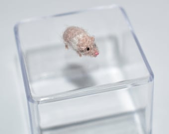 May include: A small, white and brown crocheted hamster in a clear plastic display case.