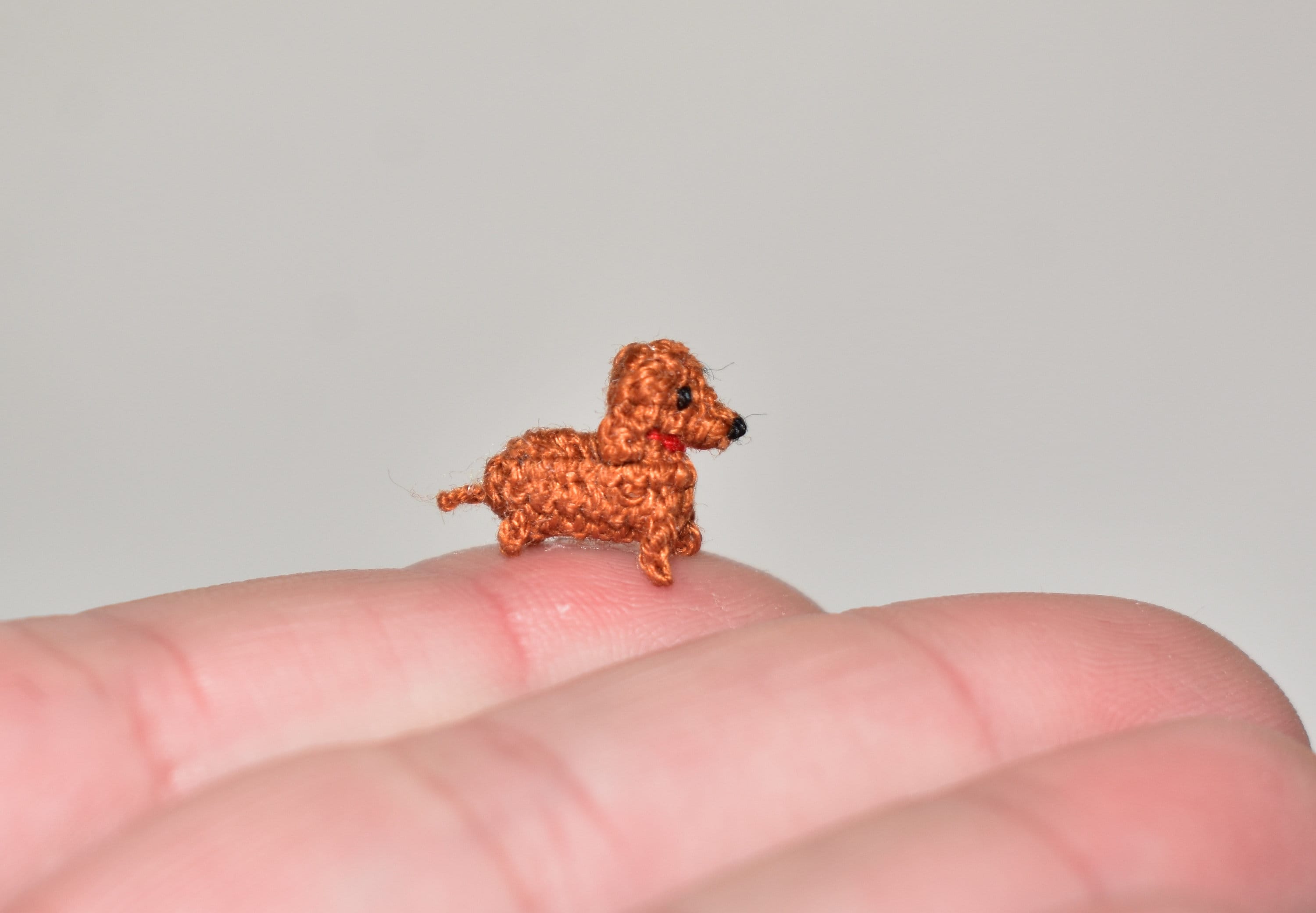 Micro hotsell miniature dachshund