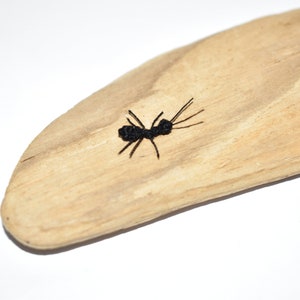 Puede incluir: Una hormiga negra bordada en un trozo de madera a la deriva.