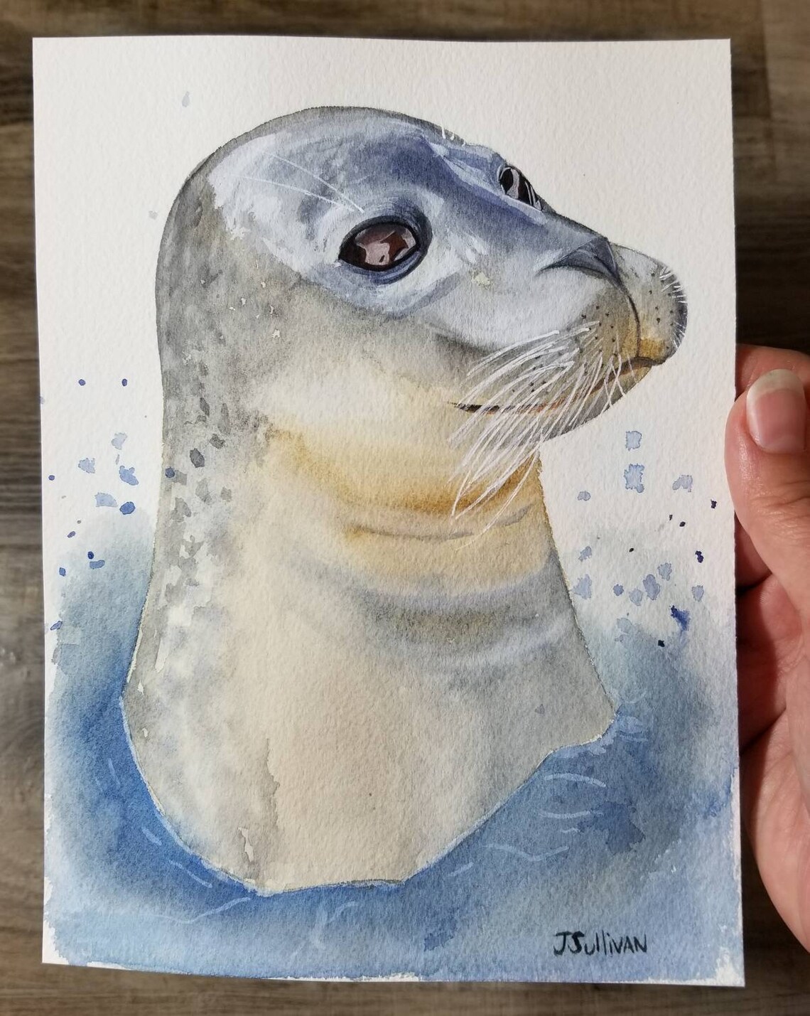 Seal Watercolor Harbor Seal Nursery Ocean Decor Seal Etsy