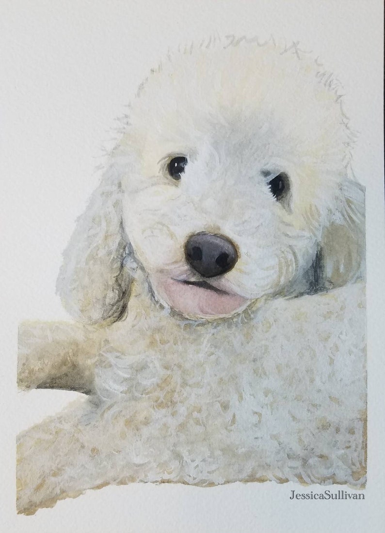 Pet portrait watercolor custom pet portrait from photo pet memorial art cat memorial gift Watercolor Custom Cat Portrait from Photo