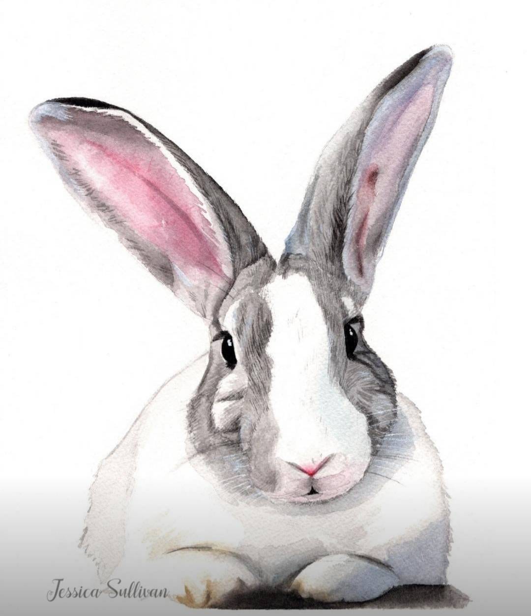 Custom Rabbit Portrait: Realistic Watercolor Painting, Pet Remembrance ...
