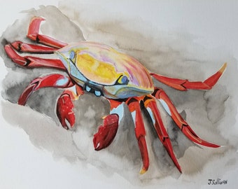 Original Sally Lightfoot Crab Watercolor Painting: Coastal Wall Art