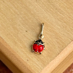 Puede incluir: Un dije de mariquita de color dorado con cuerpo rojo, cabeza negra y detalles dorados. El dije está suspendido de un pequeño lazo dorado. El dije de mariquita es una joya.