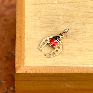 14KT Yellow Gold Flat Horse Shoe + Mini Red Ladybug Pendant Charm NEW Small Size Good Luck 16mm x 10mm