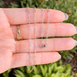 Pu&ograve; includere: Una collana a catena d'argento con chiusura a moschettone. La catena &egrave; composta da piccoli anelli ovali.