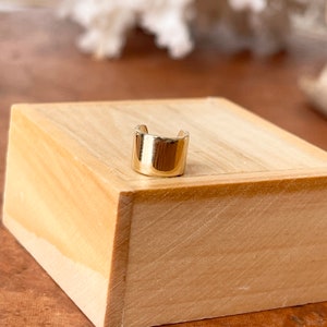 K&ouml;nnte beinhalten: Ein goldener Ohrclip, eine Art von Schmuck, der am oberen Teil des Ohrs getragen wird, wird auf einer Holzoberfl&auml;che gezeigt.