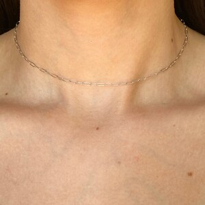 Pu&ograve; includere: Una collana a catena d'argento con un design delicato e collegato. La collana &egrave; indossata come un choker, vicino al collo.