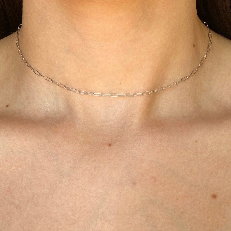 Pu&ograve; includere: Una collana a catena d'argento con un design delicato e collegato. La collana &egrave; indossata come un choker, vicino al collo.