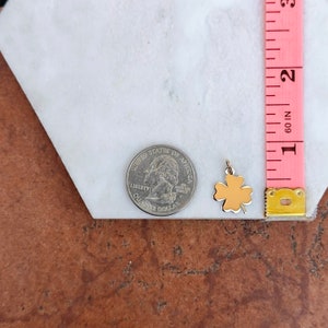 Puede incluir: Un amuleto de tr&eacute;bol de cuatro hojas de color dorado, aproximadamente del tama&ntilde;o de una moneda de 25 centavos de d&oacute;lar estadounidense.