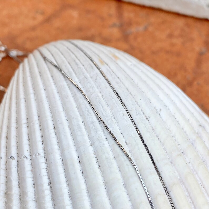 May include: Close-up of a delicate silver box chain necklace. The chain is displayed on a white seashell, with a warm, light brown background. The chain's links are small and square.