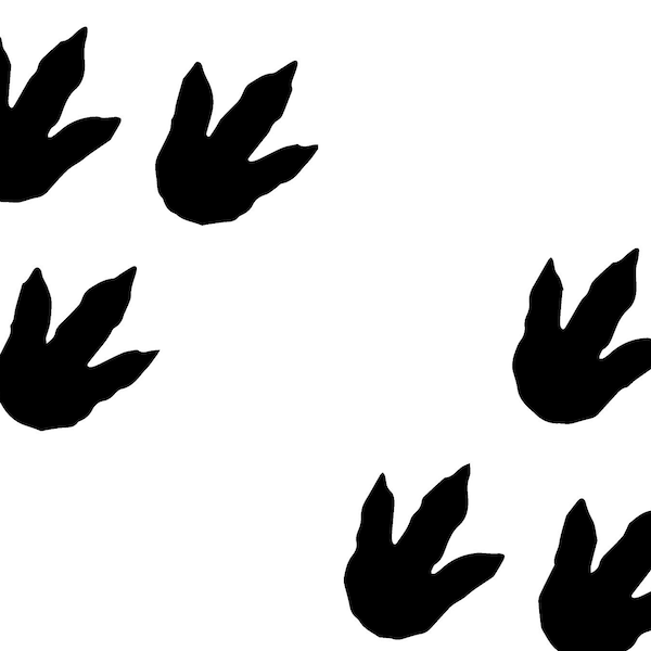 Dinosaur Footprint Etsy