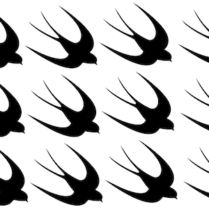 Set of 20 x  Swallow bird vinyl decals/stickers.Bird Decal.
