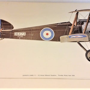 Peut inclure: Un avion Sopwith Camel F.1 brun avec une cocarde ronde rouge, blanche et bleue sur le côté. L'avion porte le numéro D6473 sur la queue et le fuselage. L'avion est en vol et a une hélice à l'avant.