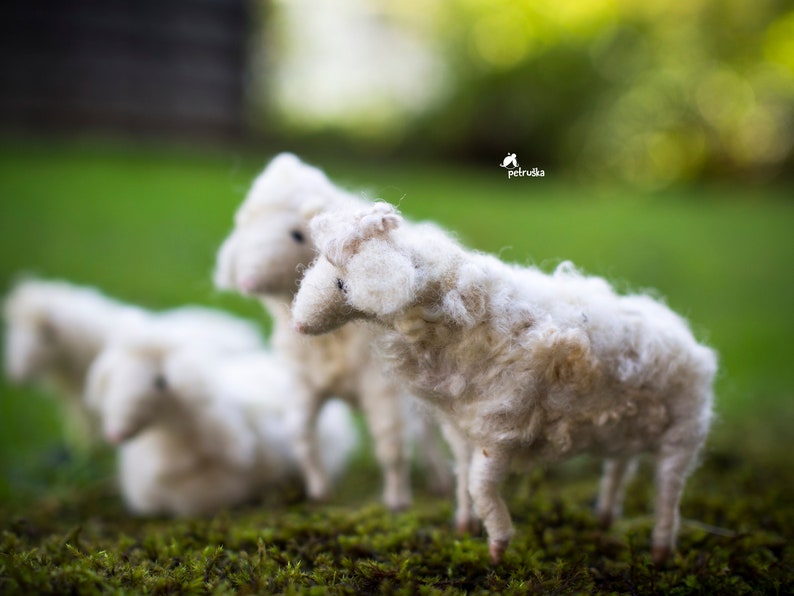 Needle felted sheep, Sheep decor Needle Felted animal Nativity Set DIFFERENT SETS zdjęcie 5