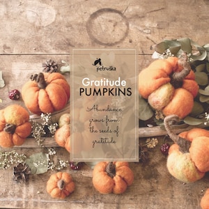 Gratitude felt pumpkins, Thank you gift, Fall decor, DIFFERENT SETS