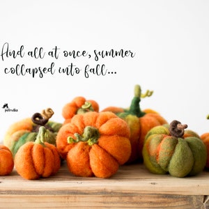 Felted pumpkin halloween decorations, Fall decor, DIFFERENT SETS