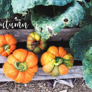 Wool Felt pumpkins, Fall decor, Autumn Decorations, DIFFERENT SETS image 5