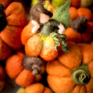 Wool Felt pumpkins, Fall decor, Autumn Decorations, DIFFERENT SETS image 10