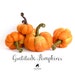 see more listings in the FALL DECOR section
