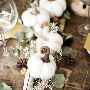 Wedding Fall decor, White pumpkins, Felt pumpkins, Wedding favors for guests, DIFFERENT SETS image 6