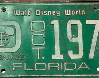 RARA placa de matrícula de recuerdo del año de apertura de Walt Disney World de 1971 / Florida / Coleccionable vintage de Magic Kingdom Disney