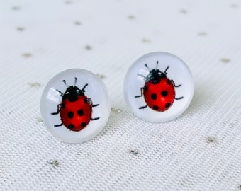 Ladybug Earrings - Ladybug Studs - Red and Black Studs - Cute Bug Earrings - Unique Jewelry - Round Glass Stud Earrings - Hypoallergenic