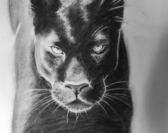 Black Panther. Original charcoal drawing.