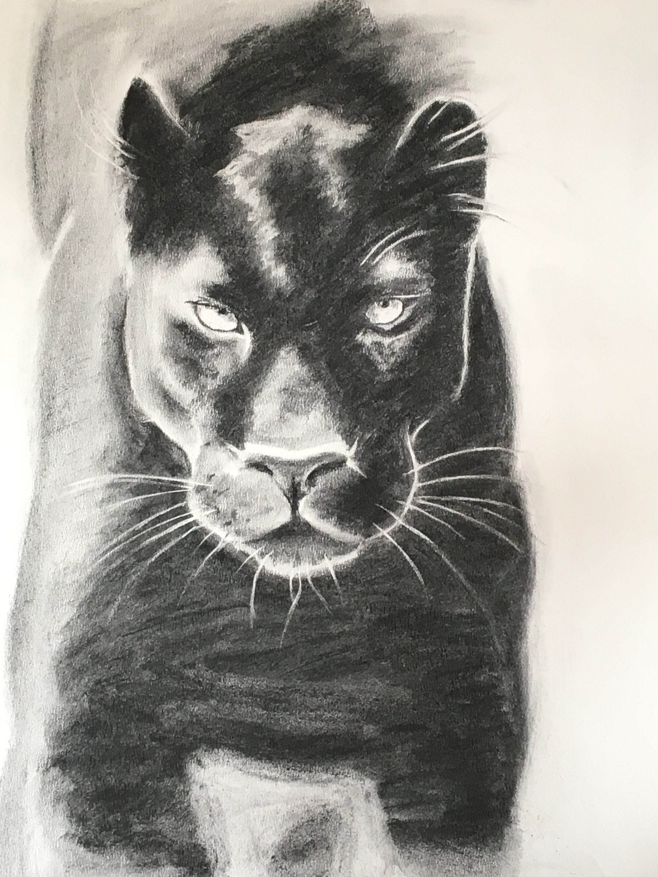 Panthere Noire Dessin Original De Charbon De Bois Etsy