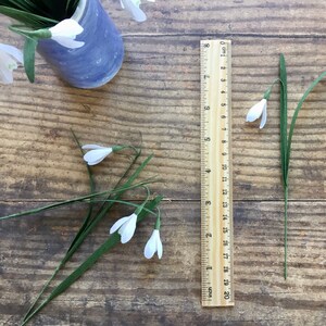 May include: White paper snowdrops with green stems arranged on a wooden surface with a ruler marked in inches and centimeters.