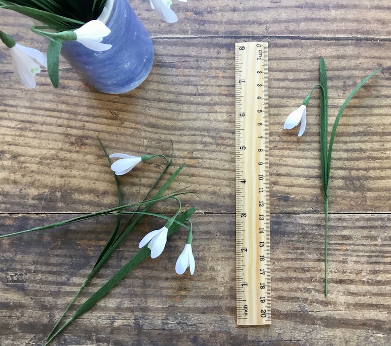 May include: White paper snowdrops with green stems arranged on a wooden surface with a ruler marked in inches and centimeters.