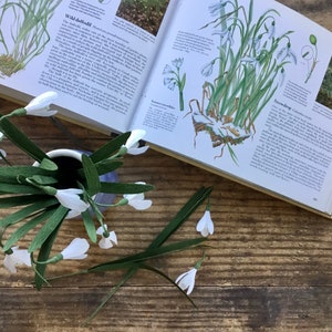 May include: A bouquet of white paper snowdrops in a blue vase, with a book open to a page about snowdrops. The book has illustrations of snowdrops and text about the plant.