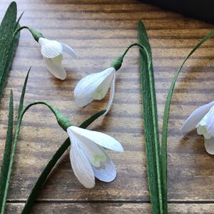 May include: Four white paper snowdrop flowers with green stems on a wood background.