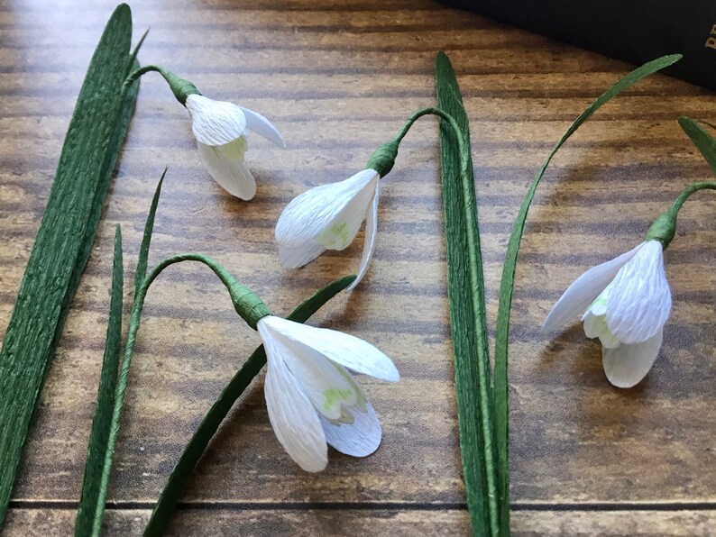 May include: Four white paper snowdrop flowers with green stems on a wood background.