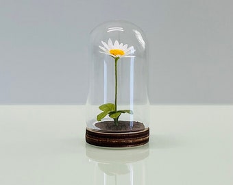 Handmade Miniature Paper Daisy Flower in Glass Cloche