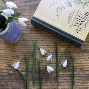 May include: A book titled "Wild Flowers of Britain" with a close-up of the cover, featuring a green plant with white flowers.  The book is lying on a wooden table with a vase of white paper flowers.
