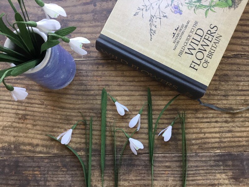 May include: A book titled "Wild Flowers of Britain" with a close-up of the cover, featuring a green plant with white flowers.  The book is lying on a wooden table with a vase of white paper flowers.