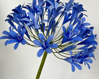 Crepe Paper Agapanthus Flower / Lily of the Nile / African Lily