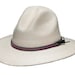 see more listings in the PALM HATS section