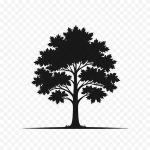 Maple Tree SVG-clipart - natuurthema, zwart silhouet, Cricut-bestand, vectorillustratie, commercieel gebruik, instant digitale download