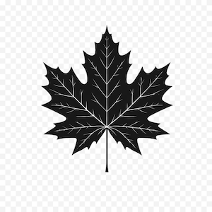 Ahornblatt SVG - Natur Clipart, schwarze Silhouette, Cricut-Datei, Vektor-Illustration, kommerzielle Nutzung, sofortiger digitaler Download