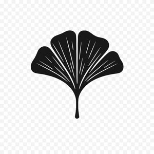 May include: A black ginkgo leaf illustration. The leaf has a fan-like shape with multiple lobes and prominent veins radiating from the base. The background is transparent.