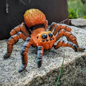 3D Printed Articulated Tarantula