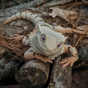 Dragón barbudo impreso en 3D: colores especiales