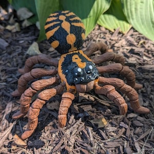 3D Printed Tarantula Species Specific