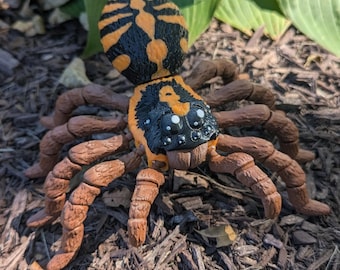3D Printed Tarantula Species Specific