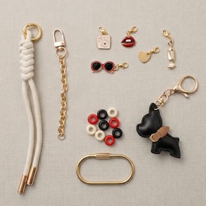 May include: A collection of accessories including a white knotted rope lanyard with gold tips, a gold chain, a black dog-shaped charm, and various small charms shaped like a camera, lips, sunglasses, a heart, and candy, plus small colored rings.