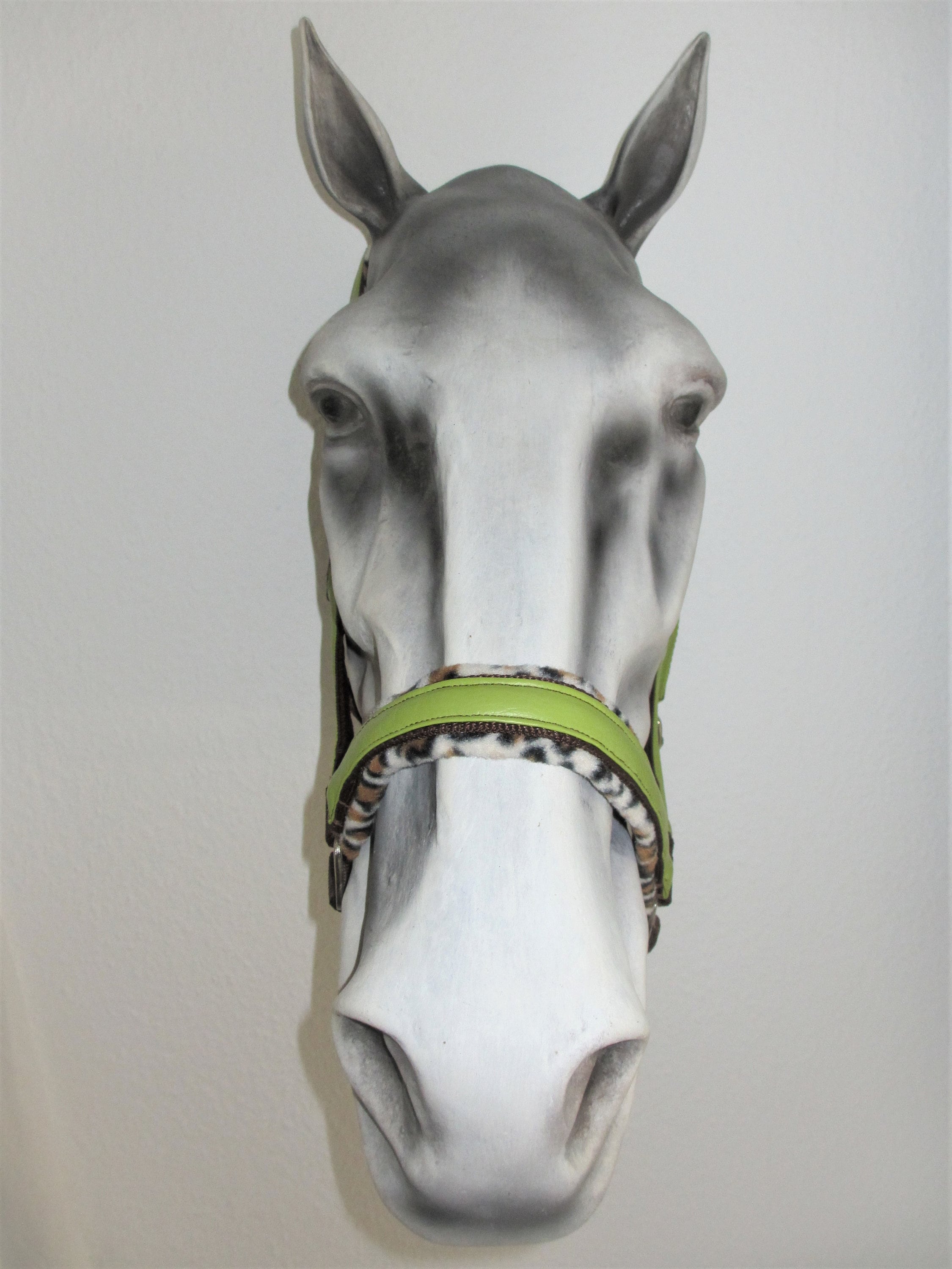 START Economic Pferdehalfter - Verstellbares Stallhalfter Für Pony & Pferd