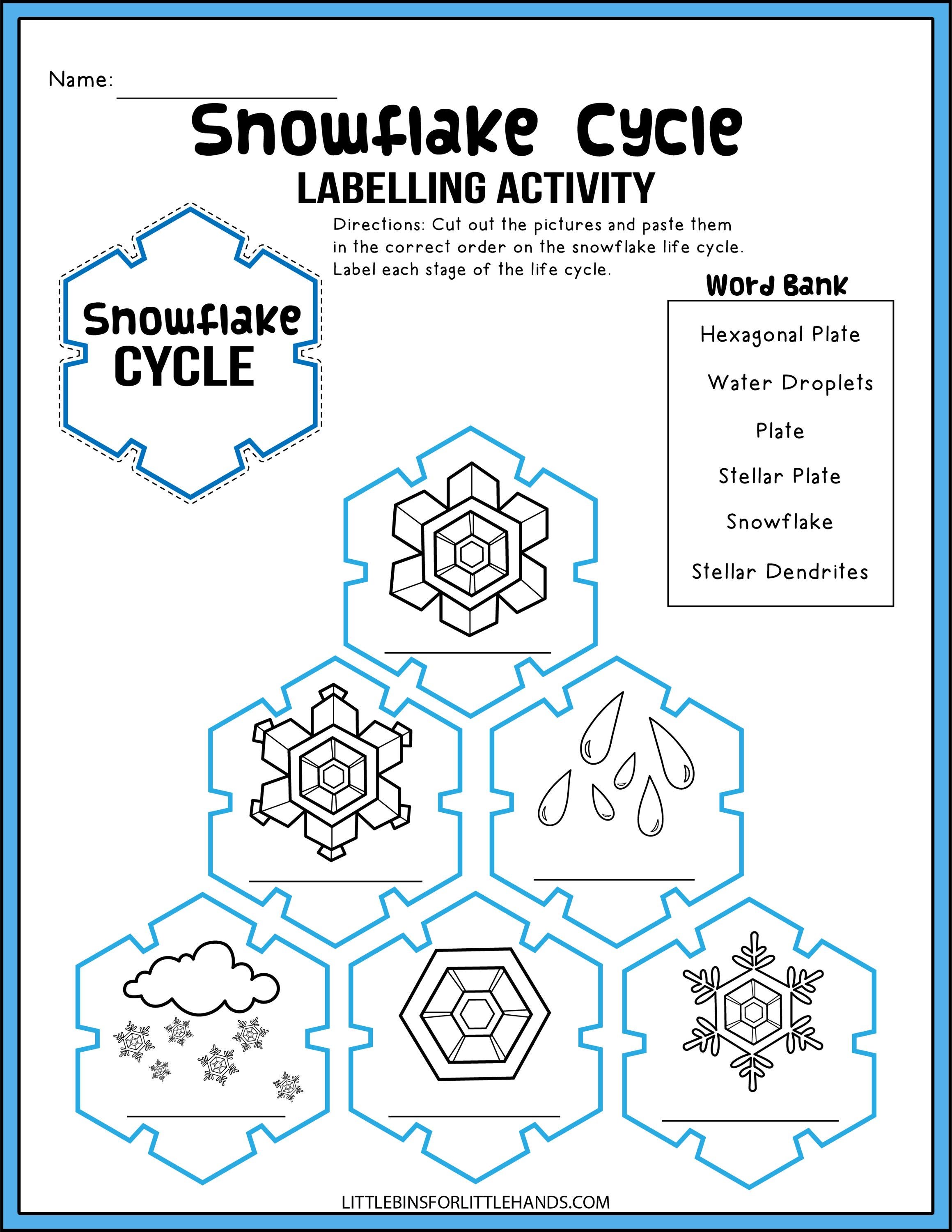 Snowflake Activity Pack - Etsy